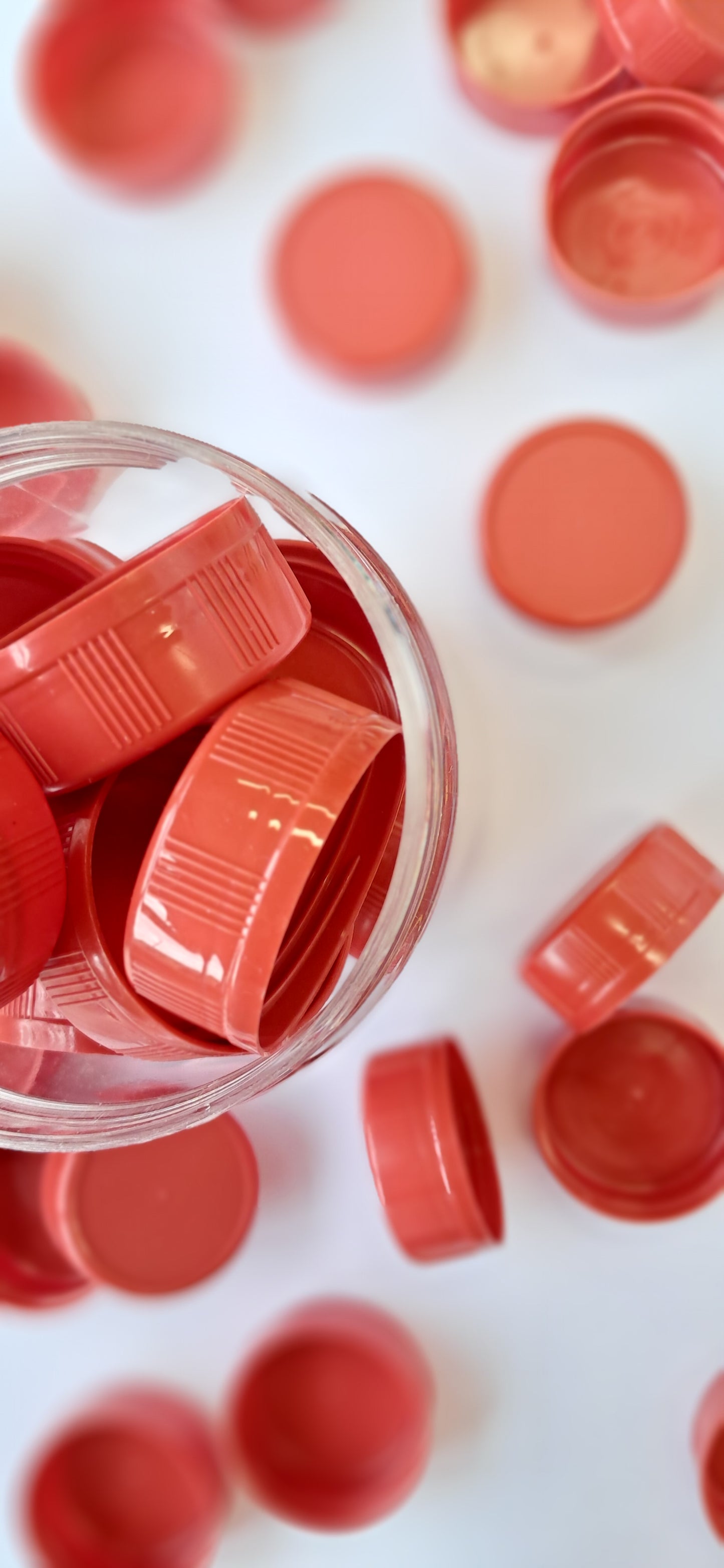 Pot Dop Rood